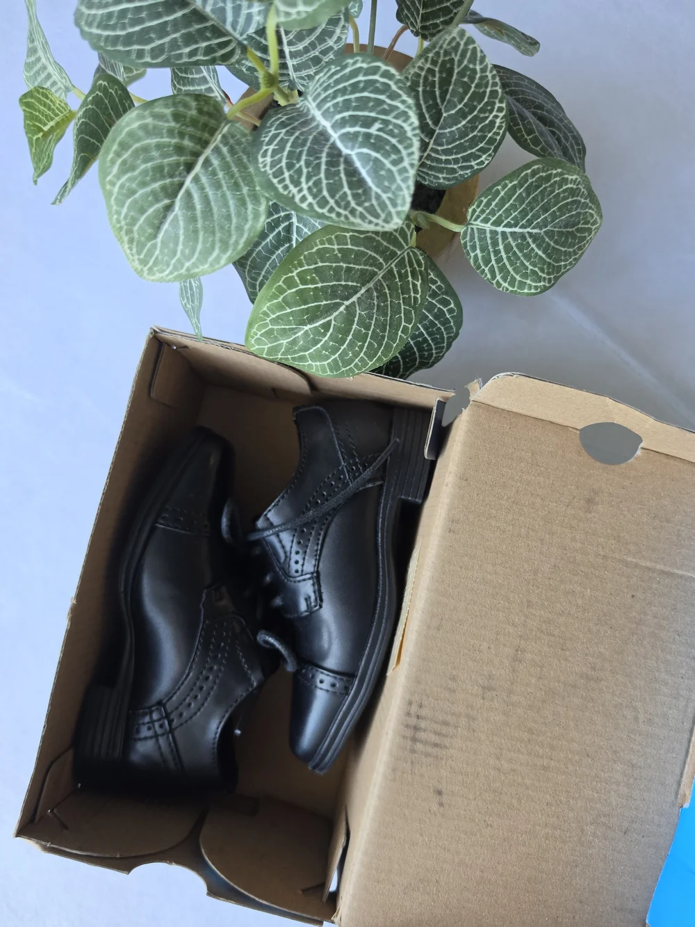 Stafford Kids Black Lace-Up Dress Shoes